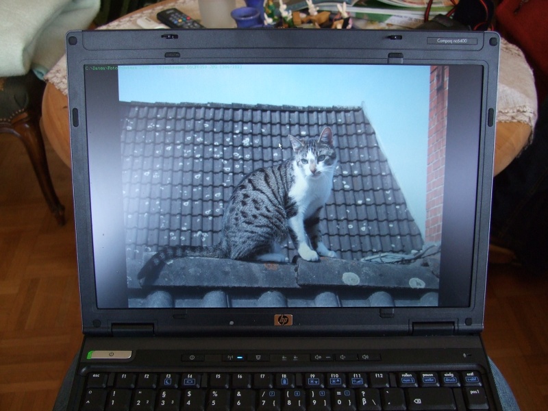 Ostern 2007 Orleshausen 141 